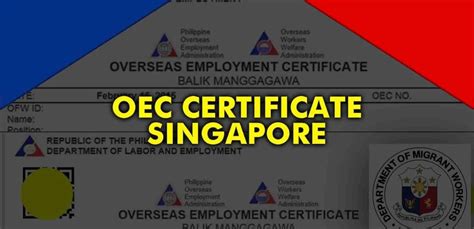 oec singapore